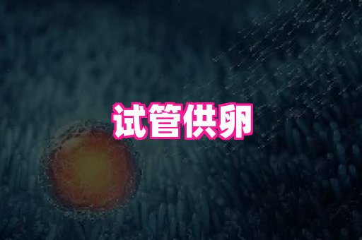 nub孕网 1